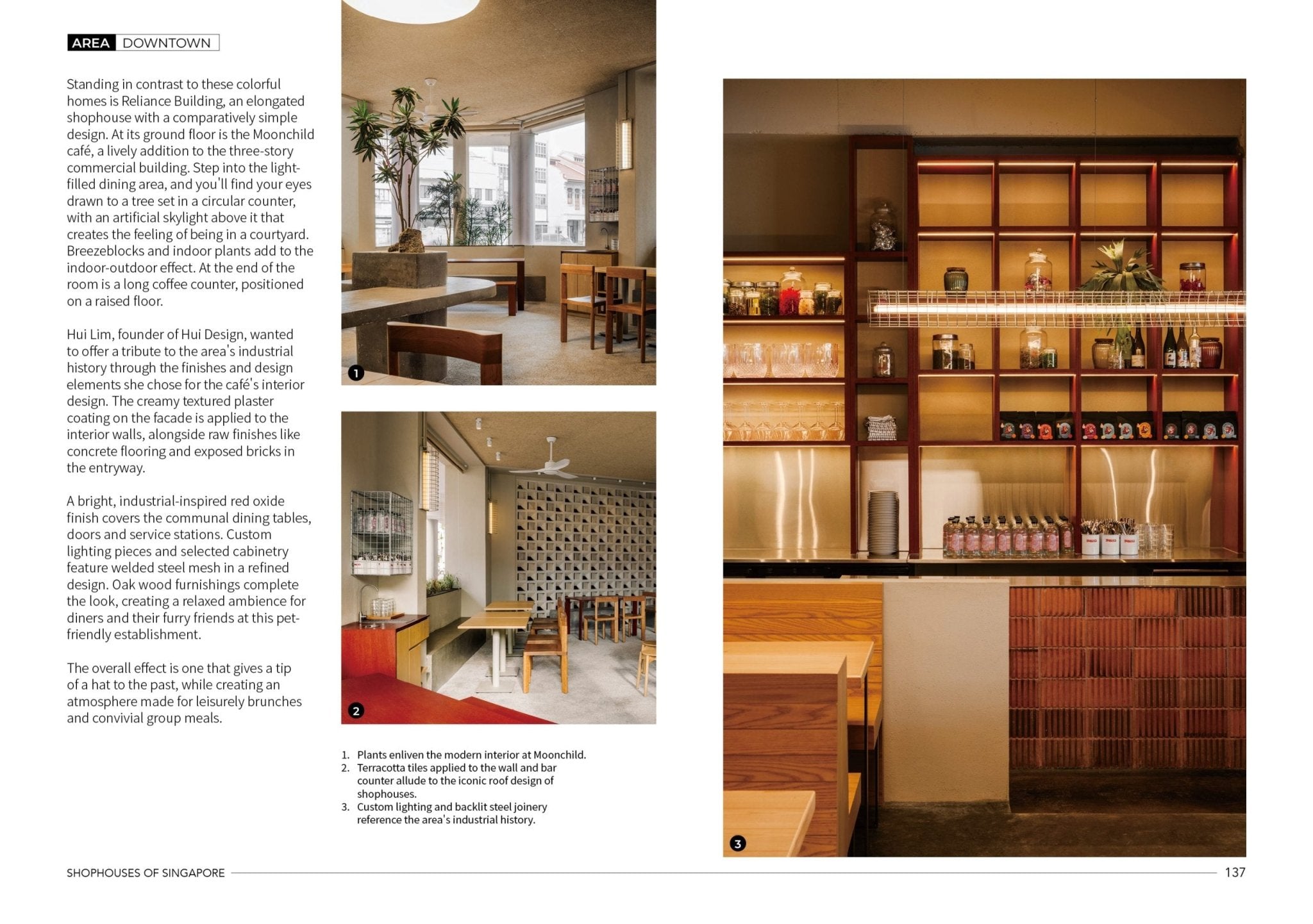 将图片加载到图库查看器，Book Shophouses of Singapore: Beyond The Facade -