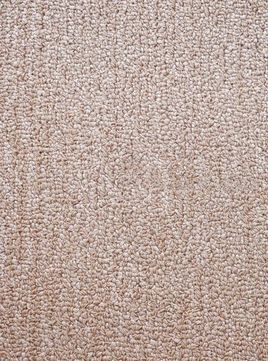Load image into Gallery viewer, Rugs Boucle Taupe Rug - 120 x 180 cm