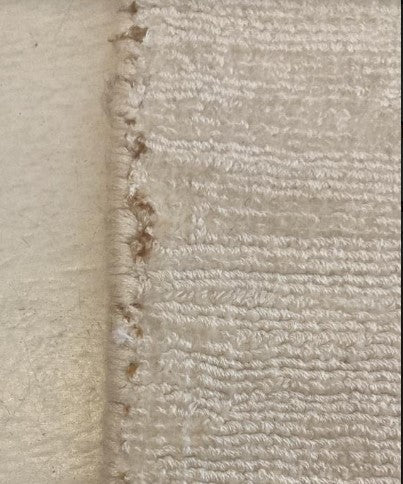 Load image into Gallery viewer, Rugs Lithe White Tencel Rug 300 x 400 cm [AS - IS] - 300 x 400 cm