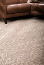 Load image into Gallery viewer, Rugs Muted Neutral Handknotted Rug - 244x300
